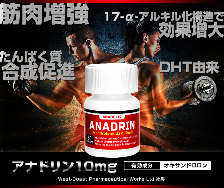 Anadrin 医薬品個人輸入代行 Jisa