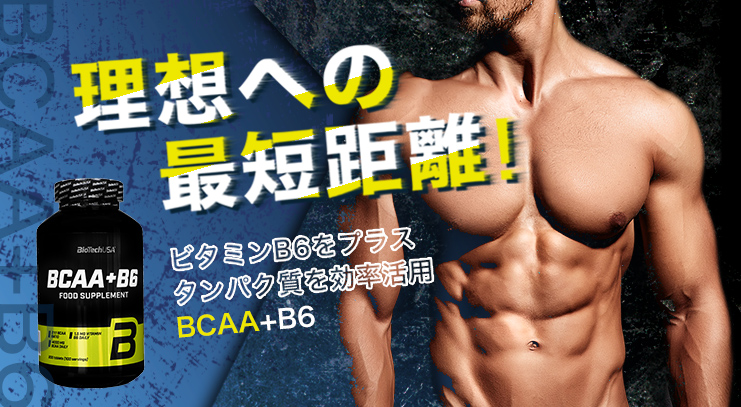 BCAA+B6・200錠