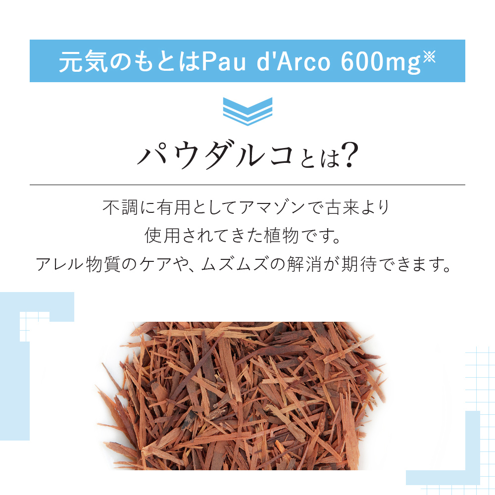 [VitalMe]バイタルミー パウダルコ600mg：2